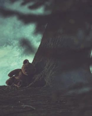 Foster Care Sexual Abuse